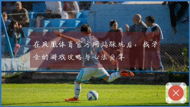 在凤凰体育官方网站踩坑后，我学会的游戏攻略与心法分享