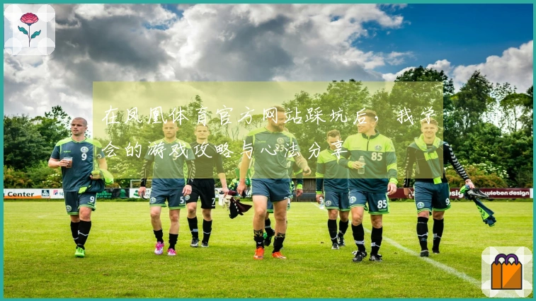 在凤凰体育官方网站踩坑后，我学会的游戏攻略与心法分享
